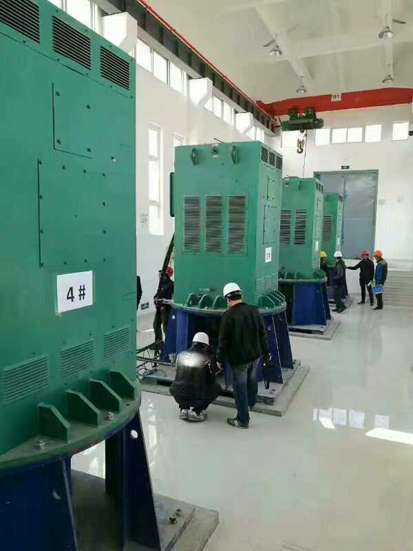 景泰某污水处理厂使用我厂的立式高压电机安装现场